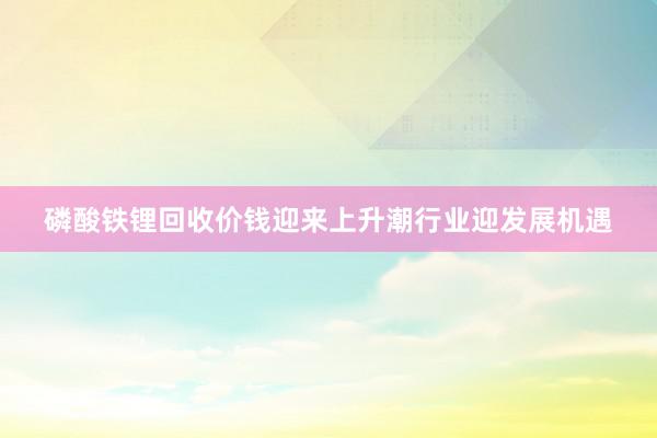 磷酸铁锂回收价钱迎来上升潮行业迎发展机遇