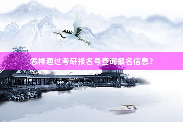 怎样通过考研报名号查询报名信息？